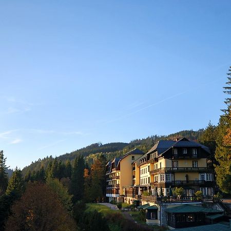 Alpenhotel Goesing Puchenstuben Zewnętrze zdjęcie