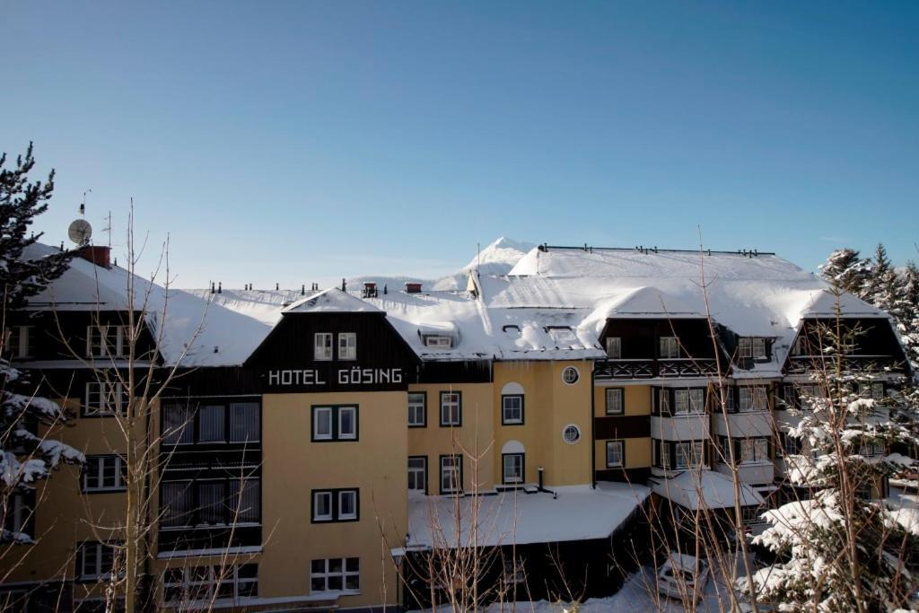 Alpenhotel Goesing Puchenstuben Zewnętrze zdjęcie